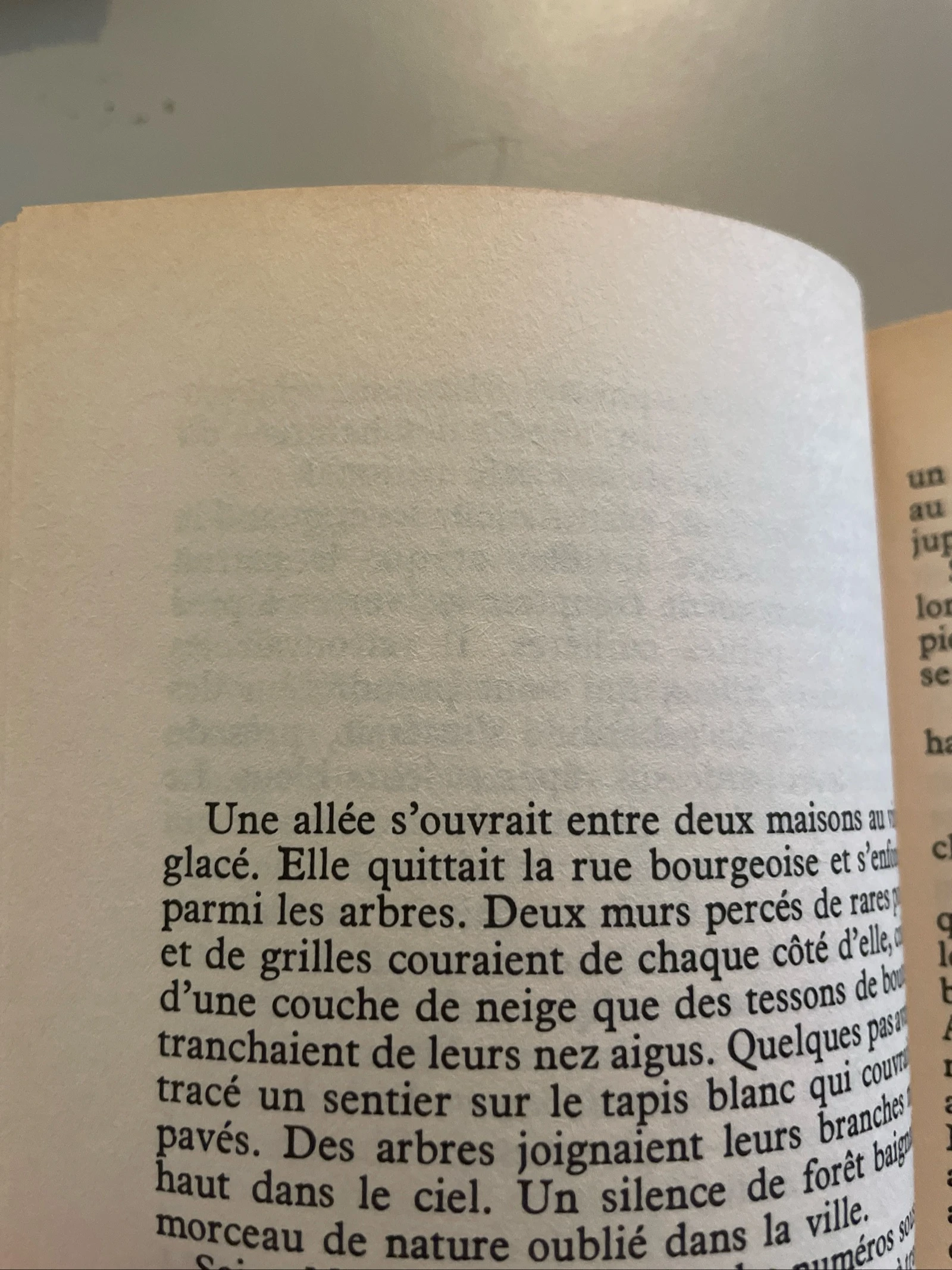 De onvoorzichtige reiziger / René Barjavel / Folio vrij pocketformaat – photo 4